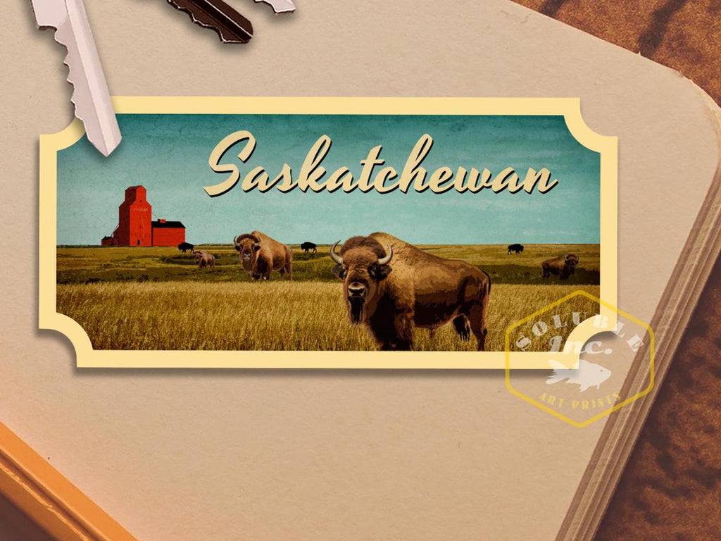 May include: A vintage postcard featuring a scenic landscape of a field with a red barn and bison grazing. The postcard has a blue sky and the text "Saskatchewan" in a white cursive font.