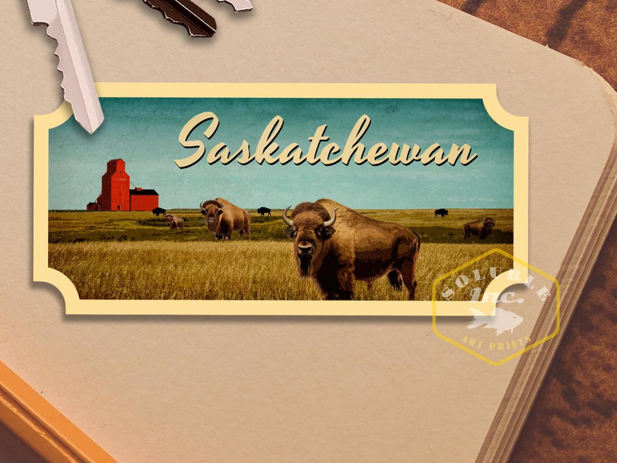 May include: A vintage postcard featuring a scenic landscape of a field with a red barn and bison grazing. The postcard has a blue sky and the text "Saskatchewan" in a white cursive font.