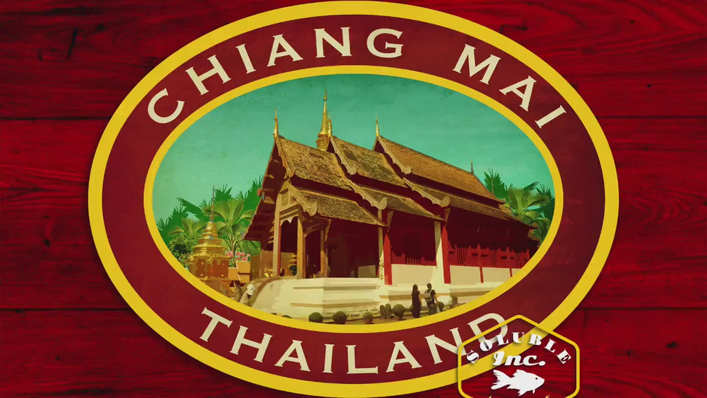 Chiang Mai Thailand Travel Sticker: Vintage Suitcase Decal