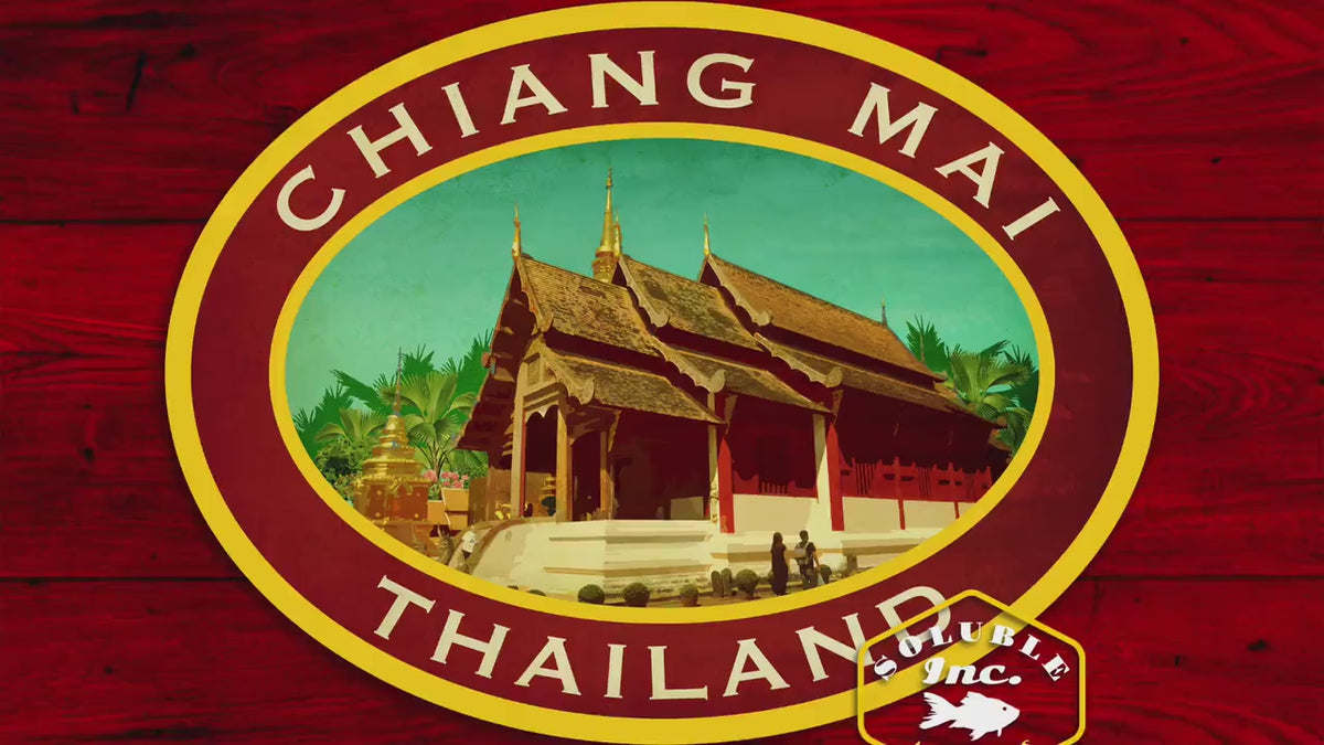 Chiang Mai Thailand Travel Sticker: Vintage Suitcase Decal
