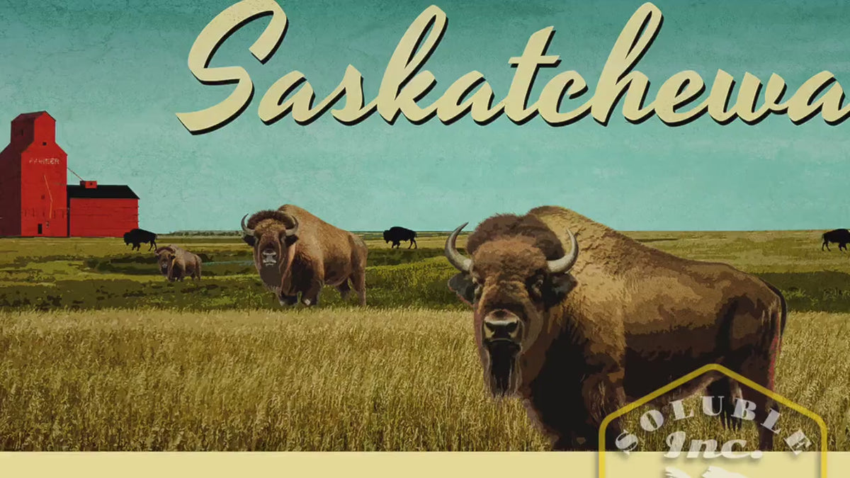 Saskatchewan Canada travel sticker, vintage style decal for suitcase, luggage, laptop or water bottle